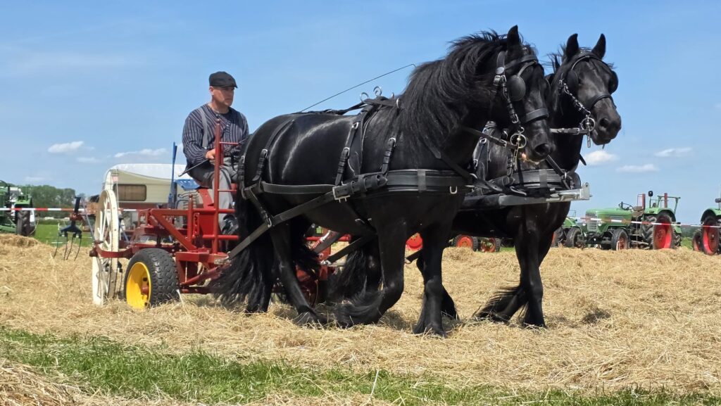 Boeren: sinds jaar en dag